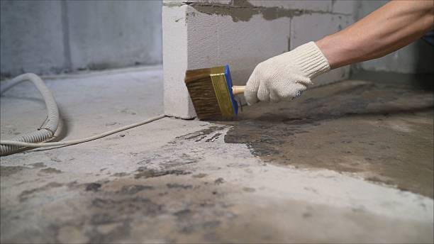 24/7 Emergency Wet Basement Repair experts in Utica, MI